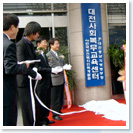 �����泲û