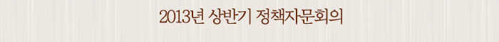 2013년 상반기 정책자문회의