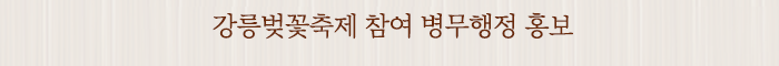 강릉벚꽃축제 참여 병무행정 홍보