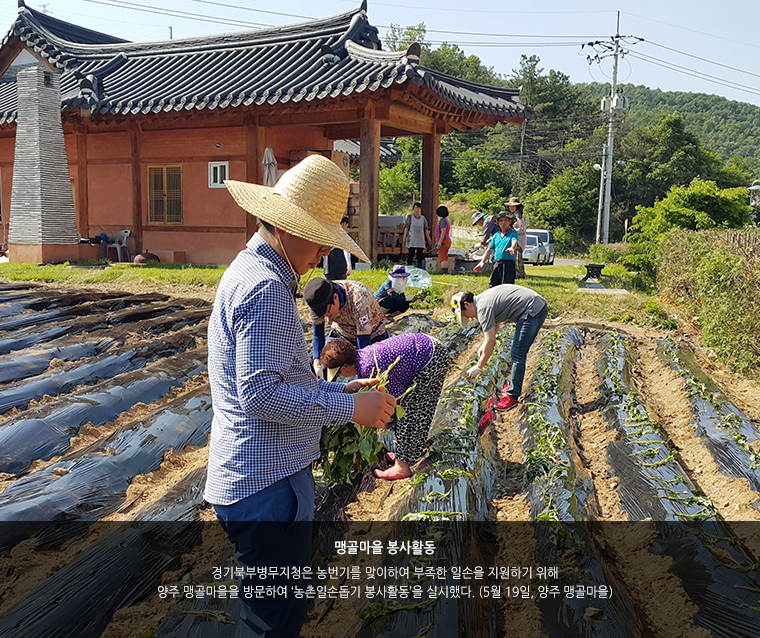 맹골마을 봉사활동. 경기북부병무지청은 농번기를 맞이하여 부족한 일손을 지원하기 위해 양주 맹골마을을 방문하여 ‘농촌일손돕기 봉사활동’을 실시했다. (5월 19일, 양주 맹골마을)