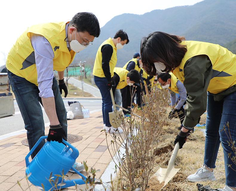 식목일을 맞이해 충북 보은 사회복무연수센터에서 직원들의 자발적인 참여하에 나무심기 행사를 실시했다. (4월 5일, 사회복무연수센터)
