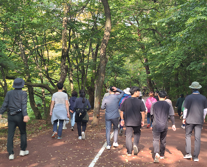 사회복무연수센터는 직원의 심리적 안정과 힐링을 위한 속리산 세조길 건강걷기를 했다.(10월 8일, 속리산 세조길)
                   