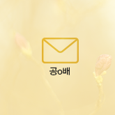 공o배