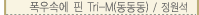 ӿ  Tri-M()/