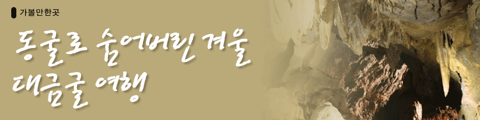 Ѱ/  ܿ ݱ 