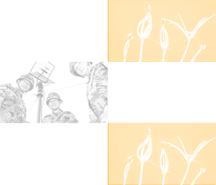 ̹